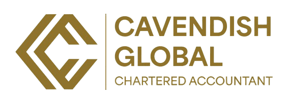 Role of Certified Public Accountants in Modern Businesses in Dubai